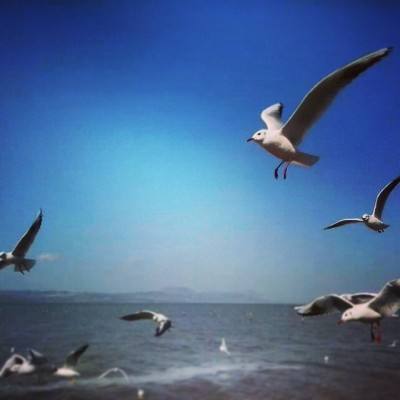 海王消消乐游戏(暂未上线)v3.35.00 安卓官方版